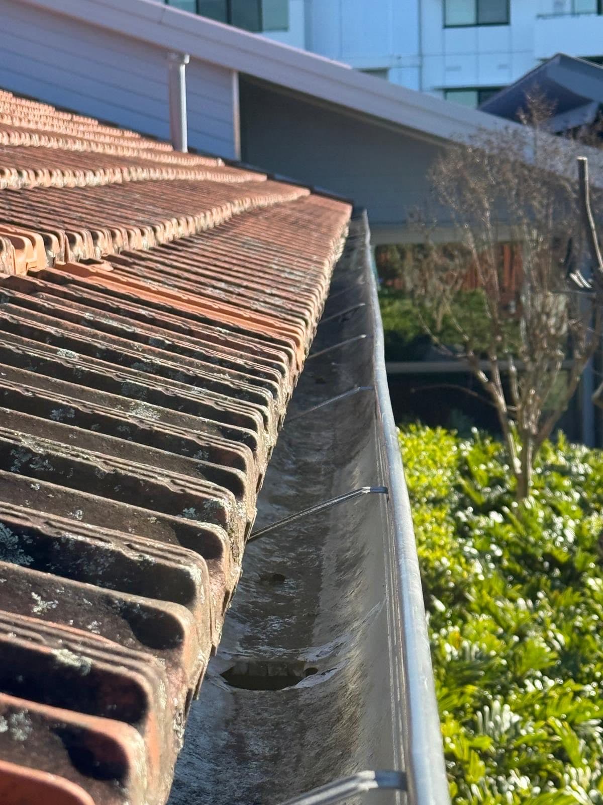 Roof & gutter clearing