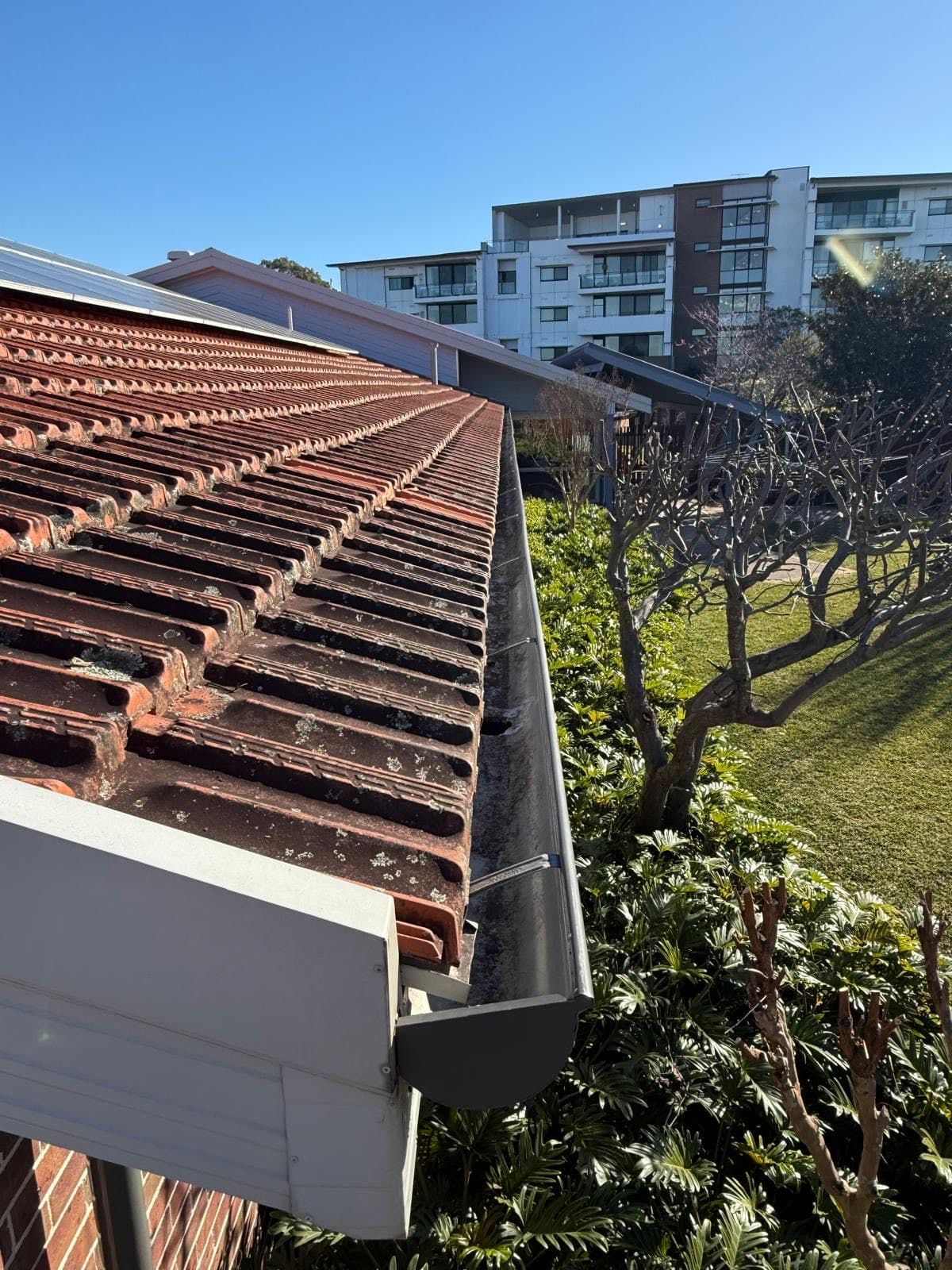 Roof & gutter clearing