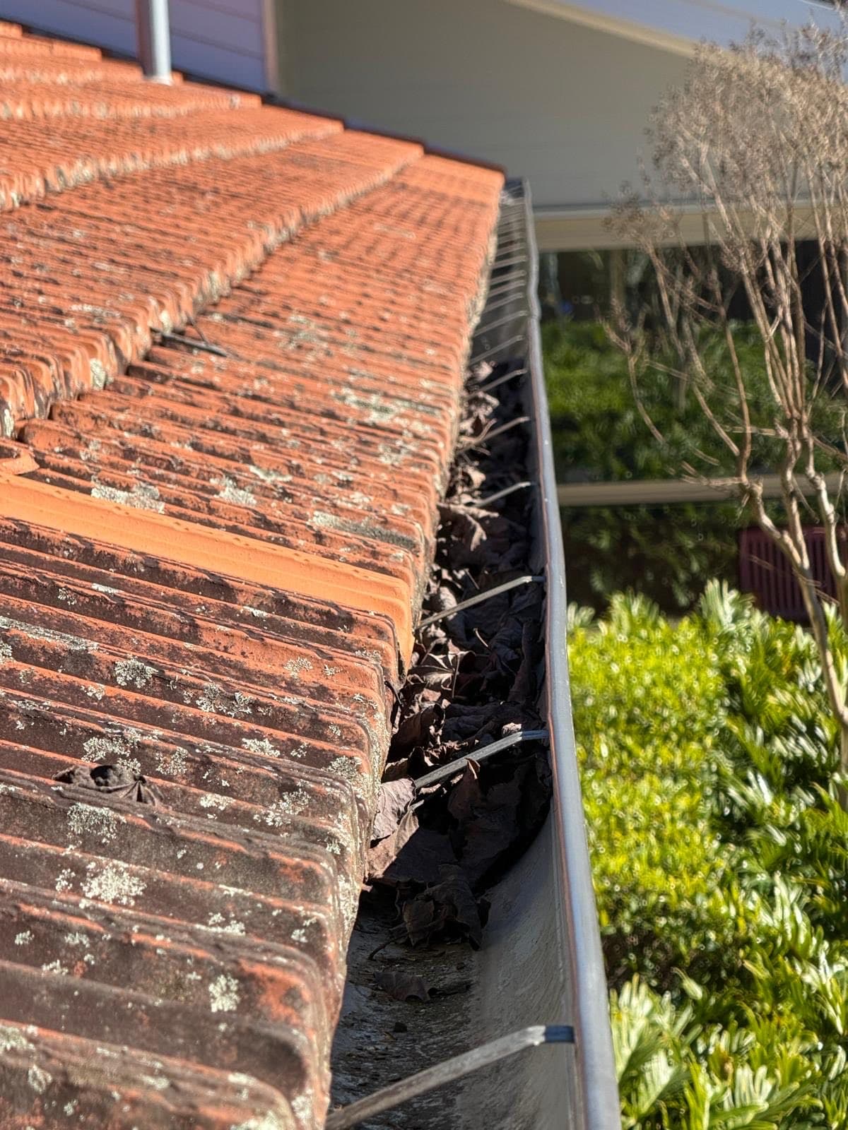 Roof & gutter clearing