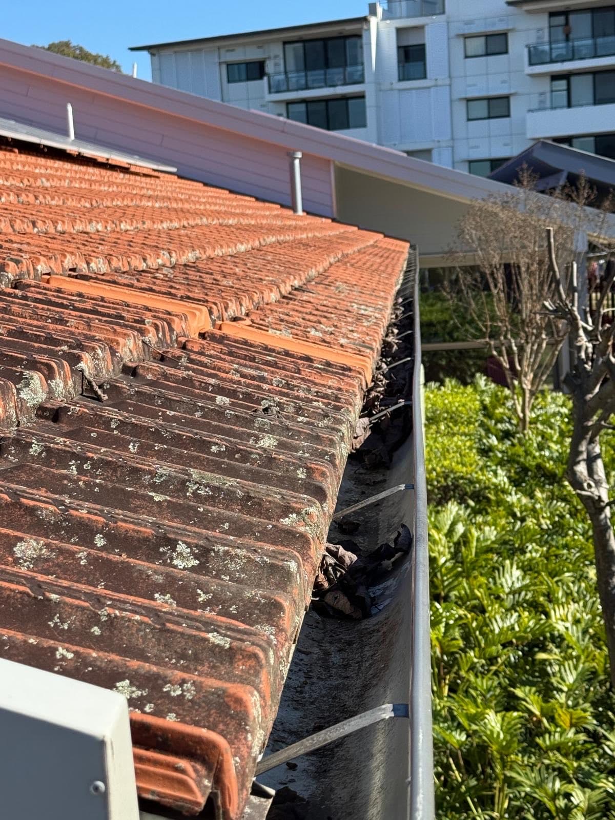 Roof & gutter clearing